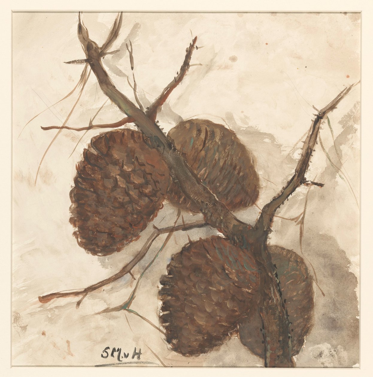 Bir dal üzerinde çam kozalakları by Sientje Mesdag van Houten