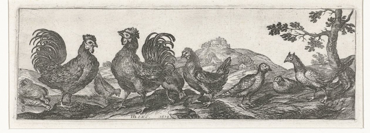 Kümes hayvanları Kuşlar ve böcekler (dizi adı) by Simon Frisius