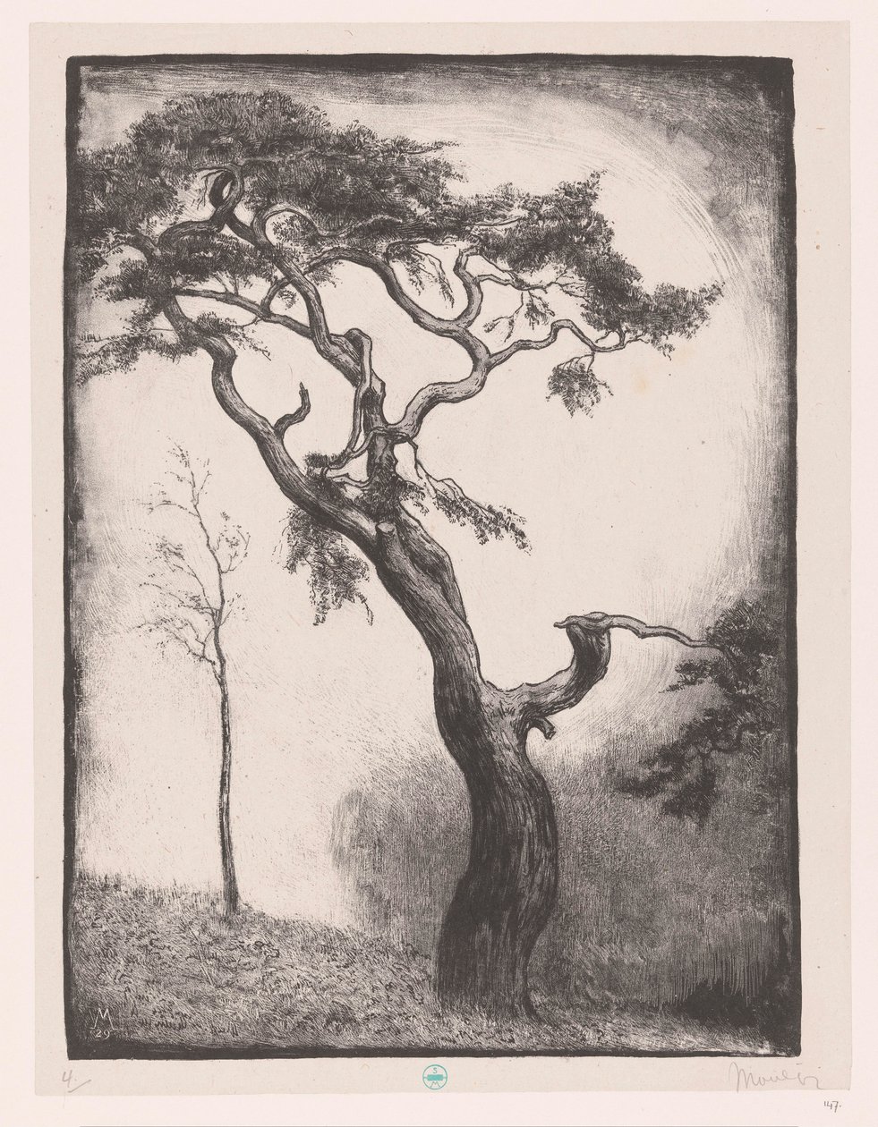çam ağacı by Simon Moulijn (signed by artist)