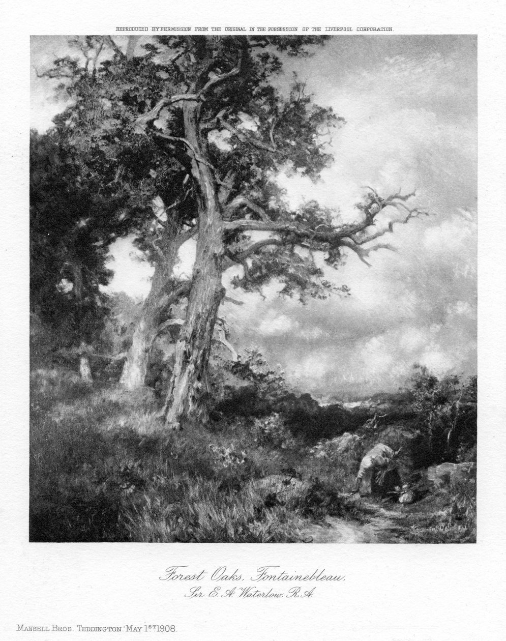 Orman Meşeleri, Fontainebleau, 1908. by Sir Ernest Albert Waterlow