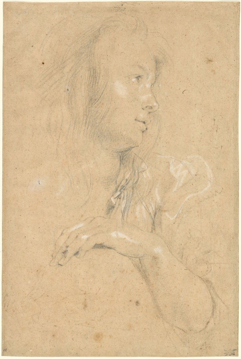 Profildeki genç kadın by Sir Peter Paul Rubens