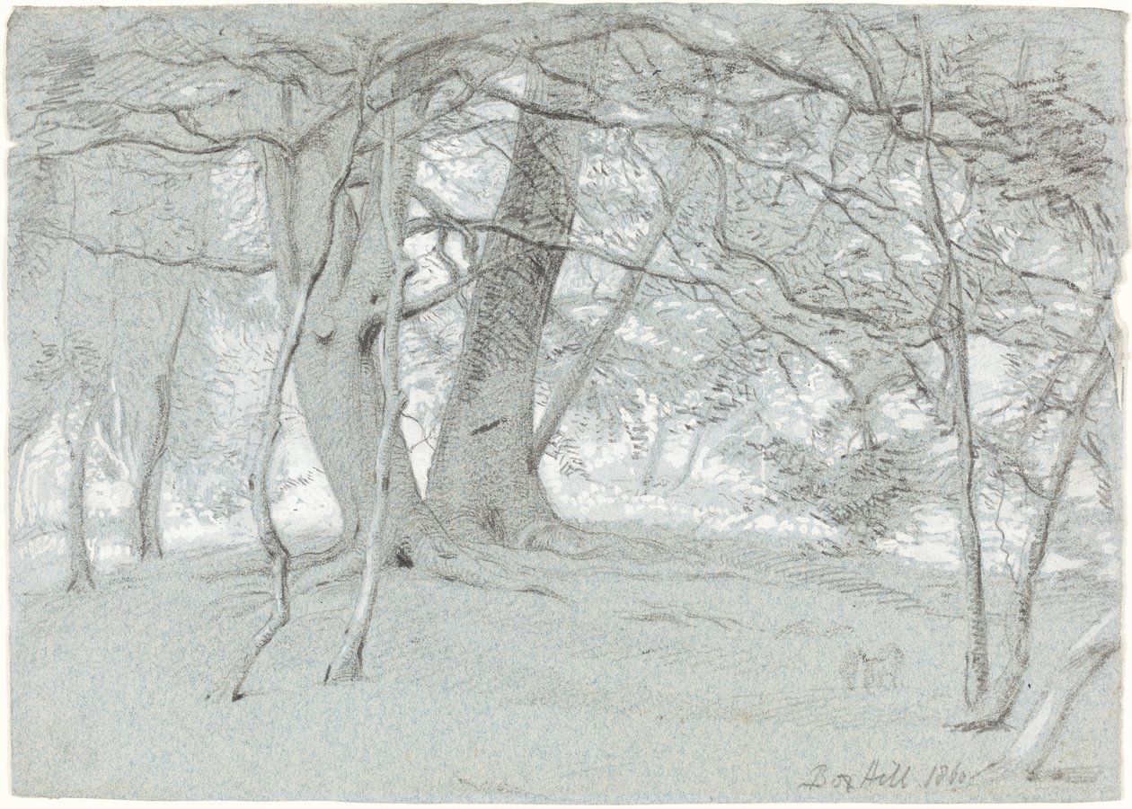 Box Hill