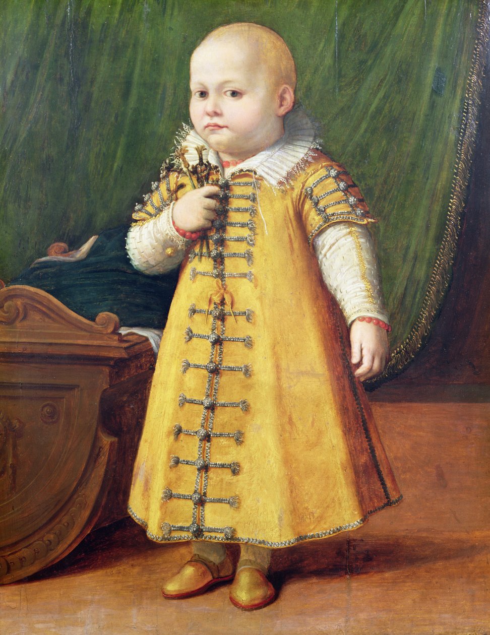 Bir çocuğun portresi (panel) by Sofonisba Anguissola