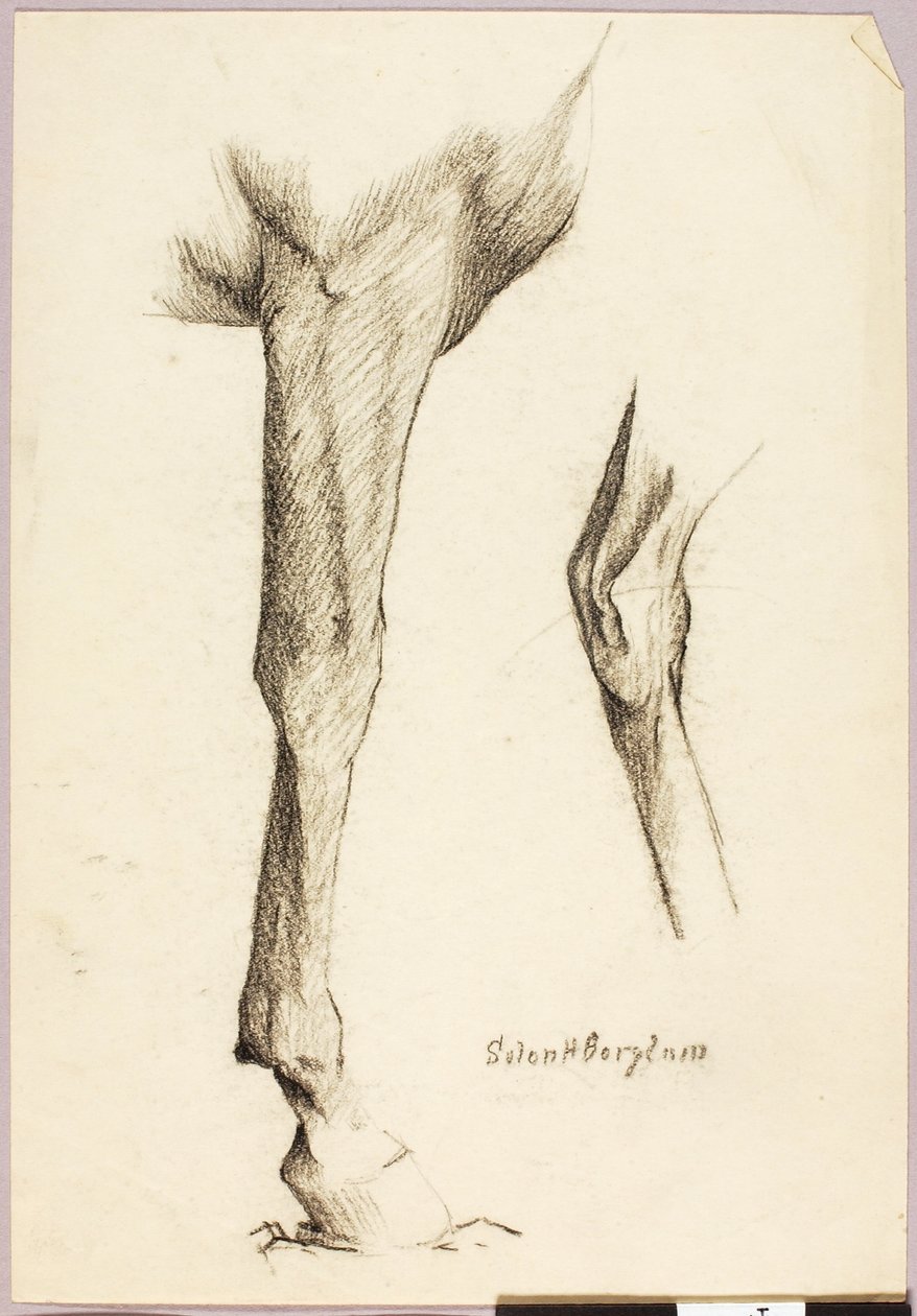  by Solon H. Borglum