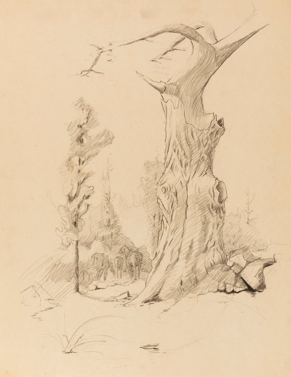  by Solon H. Borglum
