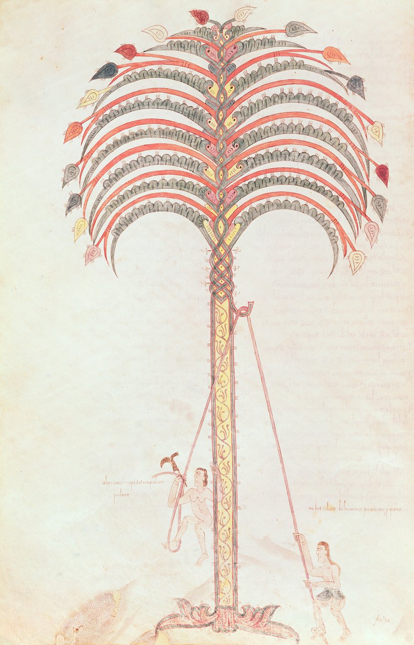 Fol.147v Palmiye Ağacı Metaforu, Girona Beatus
