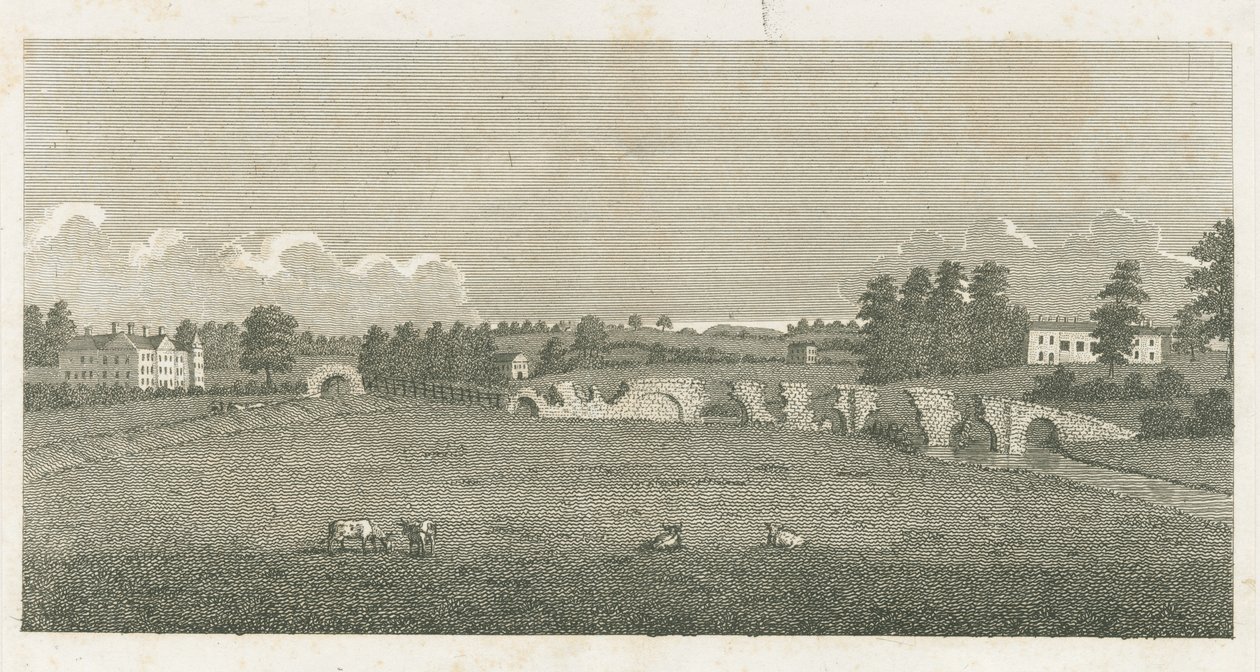 Wolseley Köprüsü: gravür by Stebbing Shaw