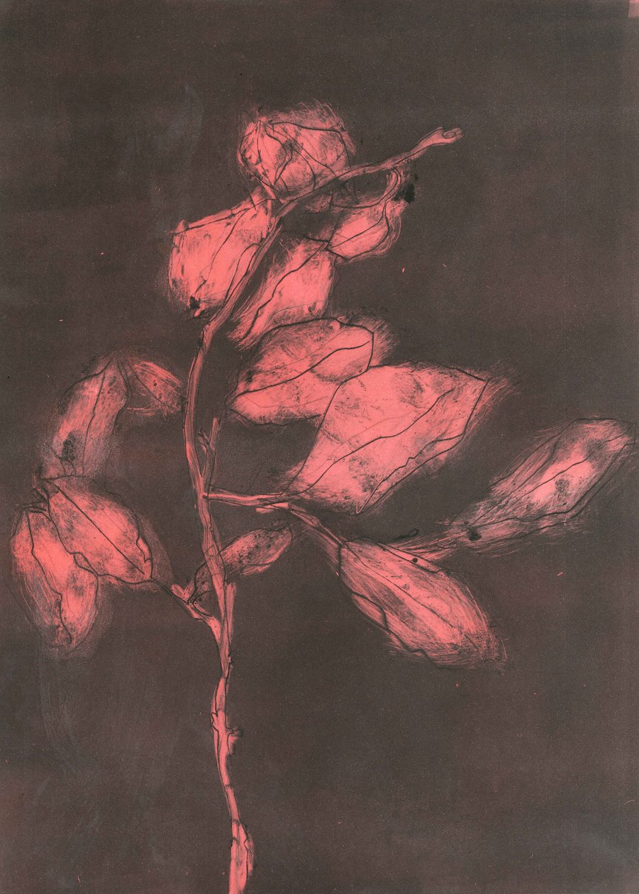  by Stephen Dow