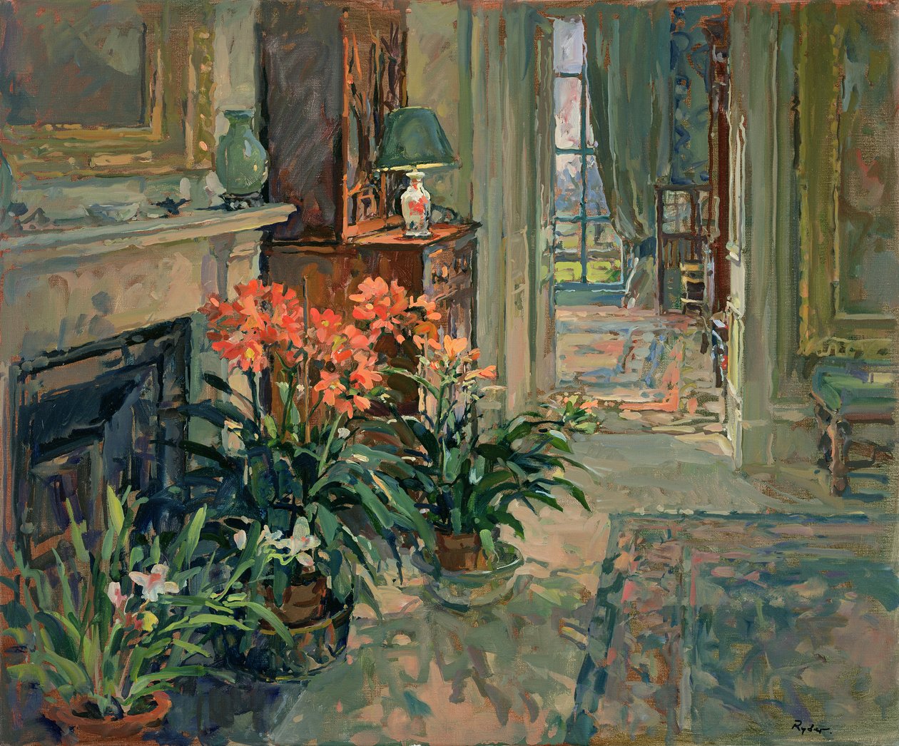 Clivia ve Orkide by Susan Ryder