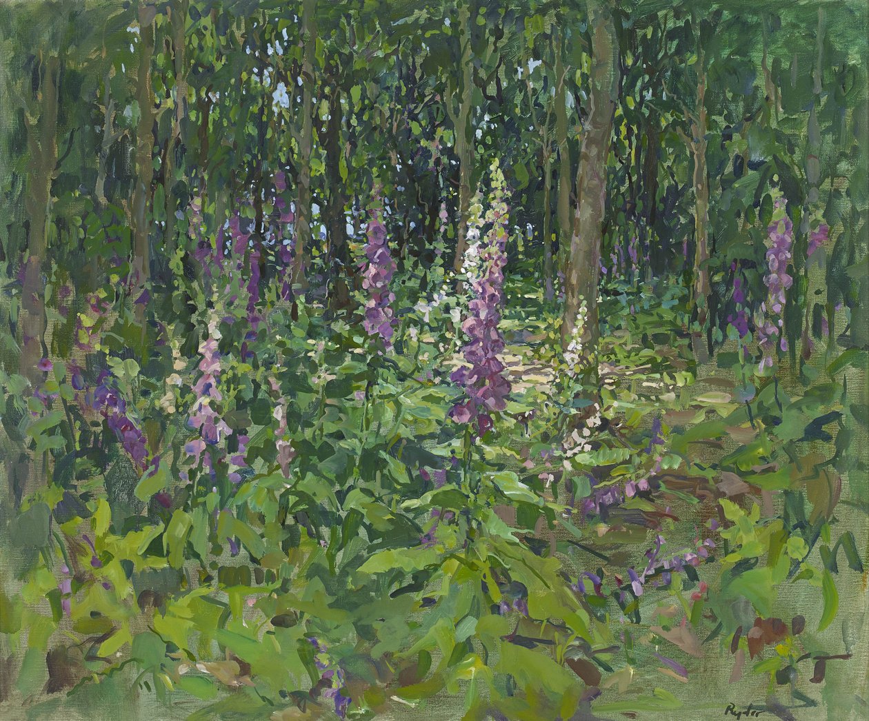 yüksük eldiveni by Susan Ryder