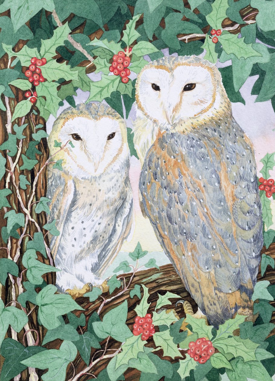 Ahır baykuşları by Suzanne Bailey