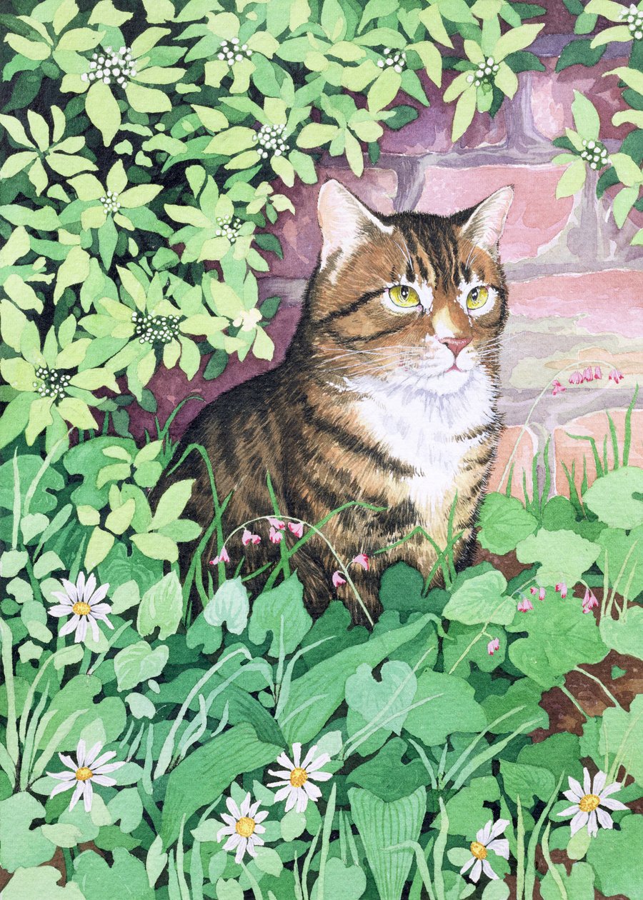 Jackies Cat (bahçe tasarımı) by Suzanne Bailey