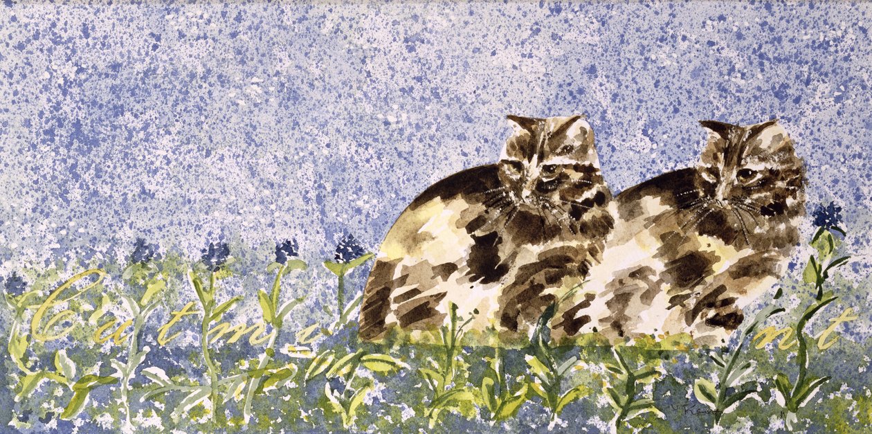 Kedi Nane (kağıt üzerine wc) by Suzi Kennett