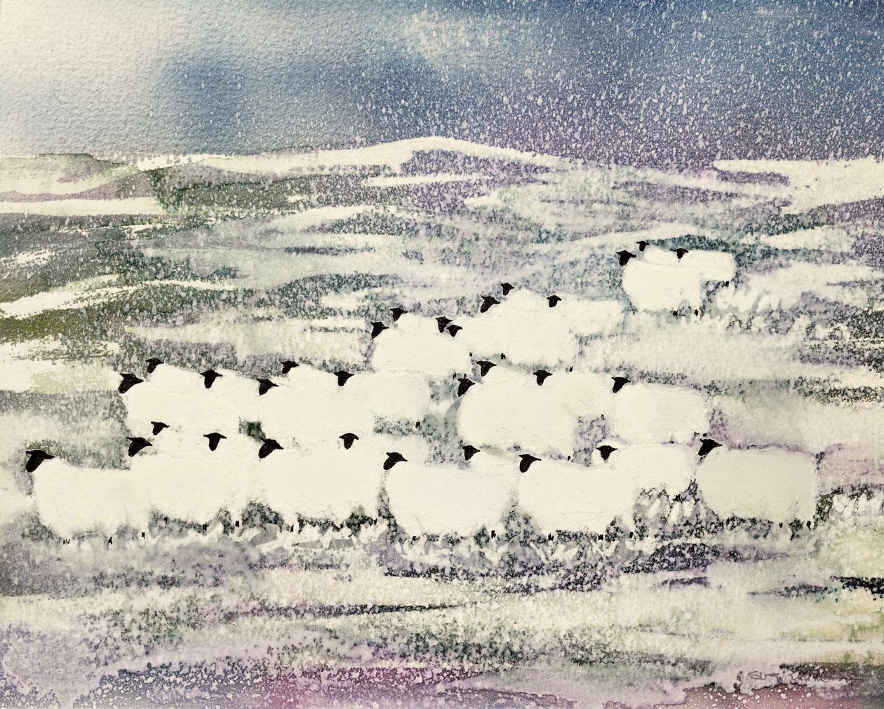 Kışın Koyun by Suzi Kennett