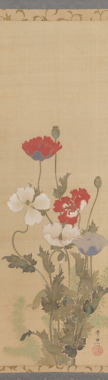 Haşhaş, 19. yüzyılın ortalarında. by Suzuki Kiitsu