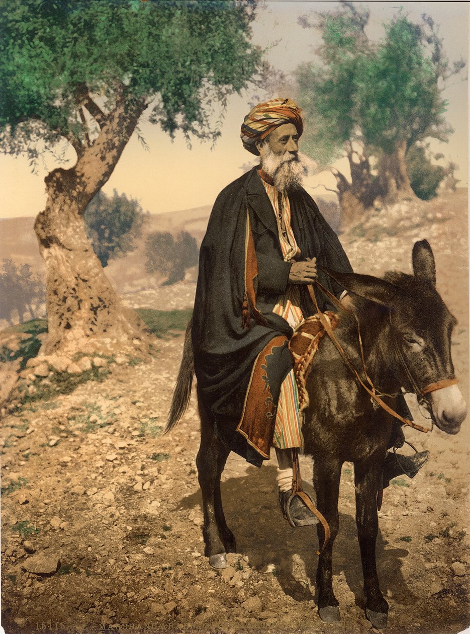 Beytüllahimli Arap adam eşeği üzerinde, c.1880-1900 (fotokrom) by Swiss Photographer