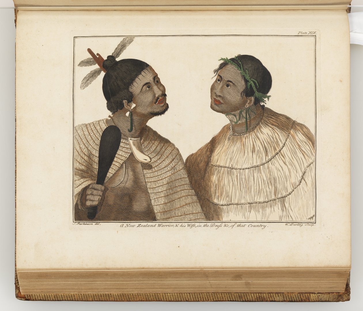 Yeni Zelandalı bir savaşçı ve karısı, Güney Denizlerine yapılan bir yolculuğun günlüğünden bir örnek: Majestelerinin gemisinde, Endeavour, 1794 (el renkli gravür) by Sydney