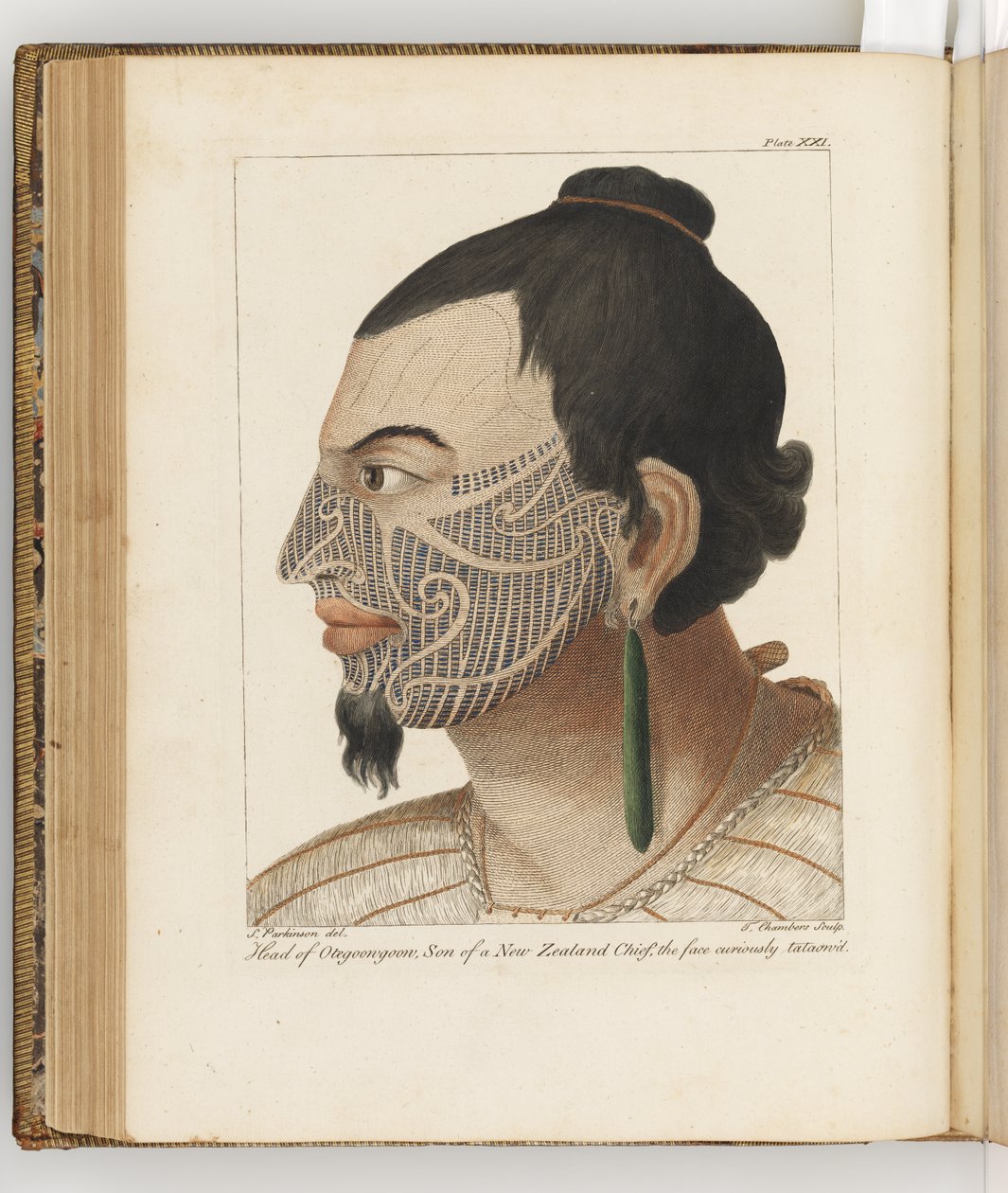 Otegoongoon Başkanı, Güney Denizlerine yapılan bir yolculuğun günlüğünden çizim: Majestelerinin gemisinde, Endeavour, 1794 (el renkli gravür) by Sydney