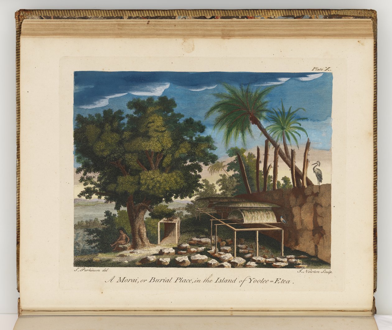 Güney Denizlerine yapılan bir yolculuğun günlüğünden bir çizim: Majestelerinin gemisinde, Endeavour, 1794 (el boyaması gravür) by Sydney
