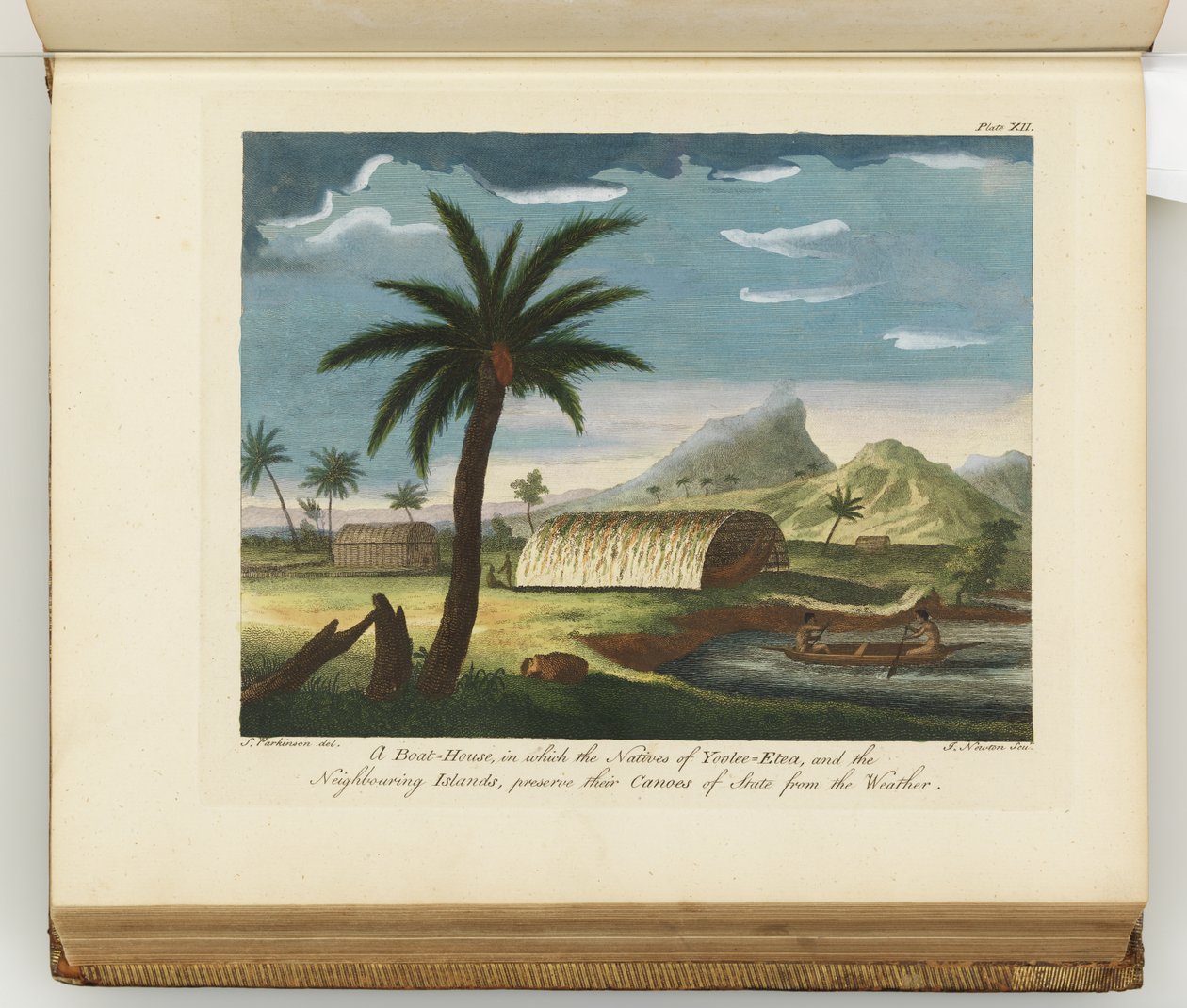 Güney Denizlerine yapılan bir yolculuğun günlüğünden bir çizim: Majestelerinin gemisinde, Endeavour, 1794 (el boyaması gravür) by Sydney