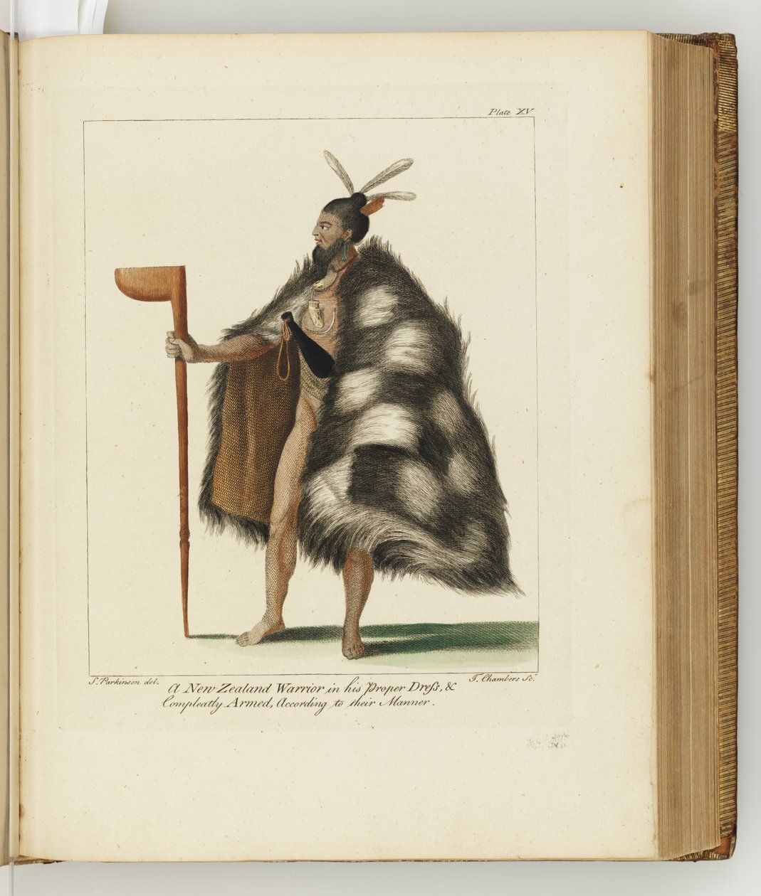 Güney Denizlerine yapılan bir yolculuğun günlüğünden bir çizim: Majestelerinin gemisinde, Endeavour, 1794 (el boyaması gravür) by Sydney