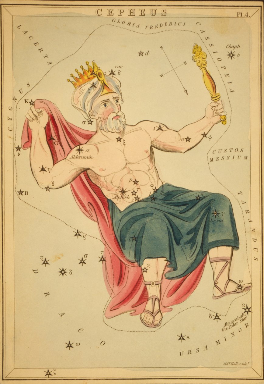 Cepheus, 