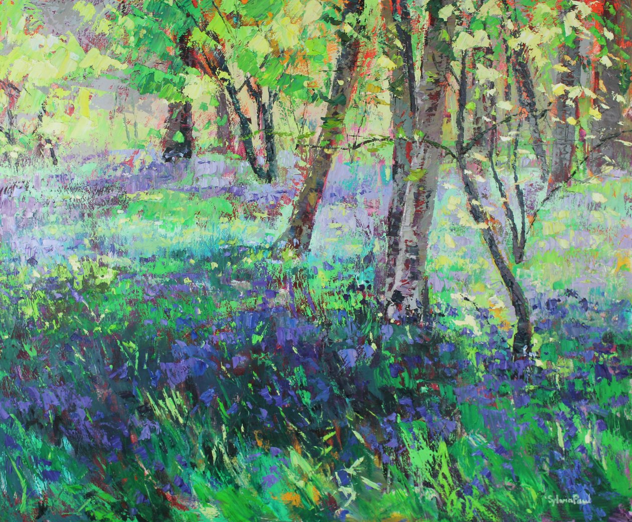 Güneş ışığı ve Bluebells by Sylvia Paul