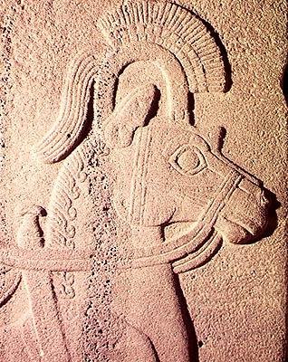 ಕುದುರೆಯ ಹೆಡ್‌ಟರ್ಕ್‌ನ ವಿವರ by Syrian Syrian
