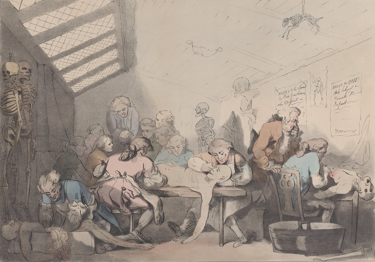 Diseksiyon Odası, ca. 1838. by T. C. Wilson
