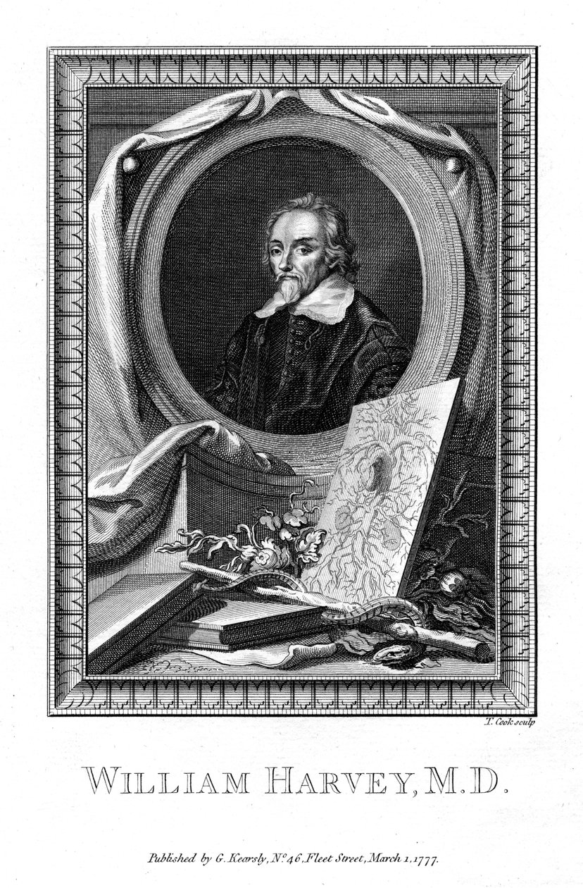 William Harvey, tıp doktoru, 1777. by T. Cook