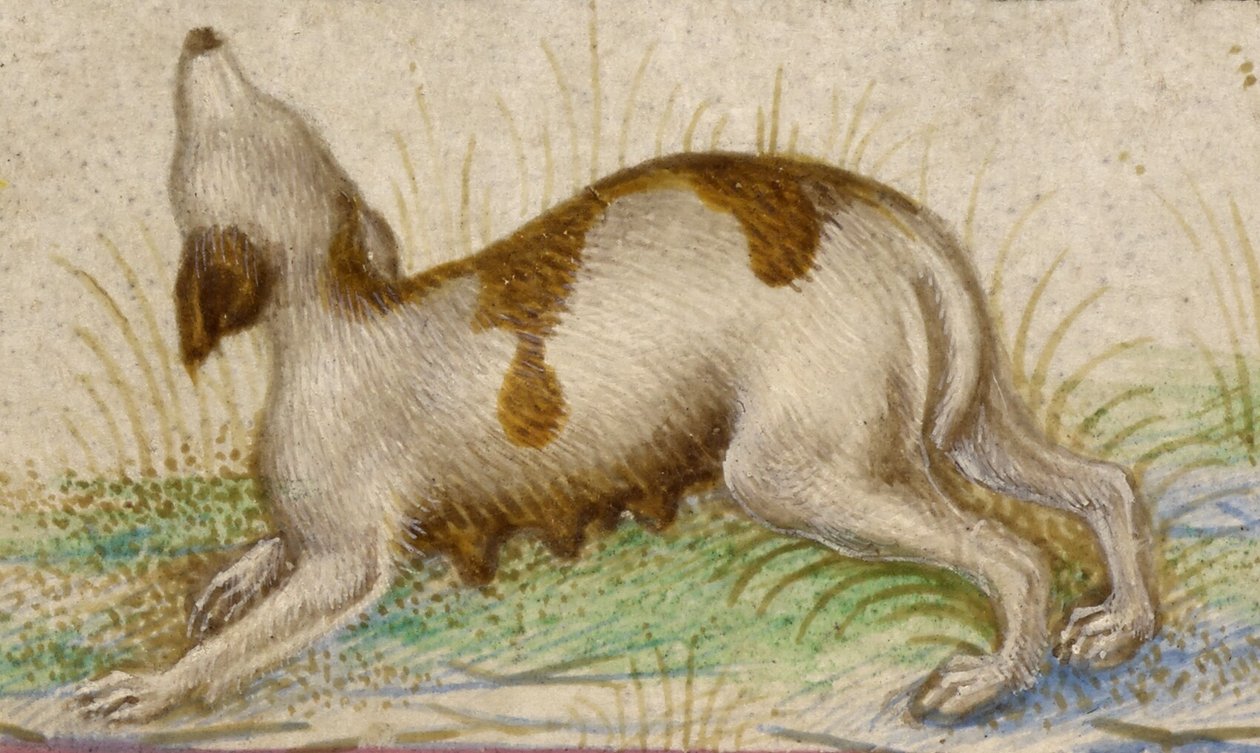  by Taddeo Crivelli