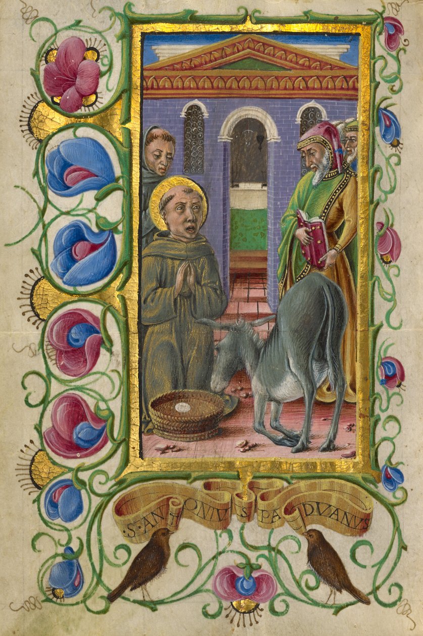  by Taddeo Crivelli