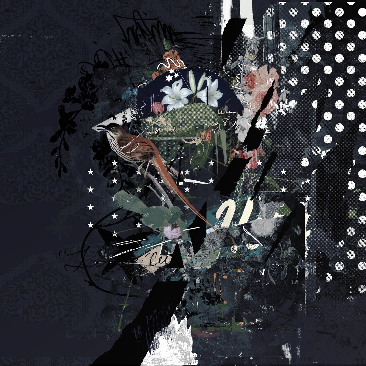 Floralbirds, 2017 (Tuval üzerine kolaj) by Teis Albers