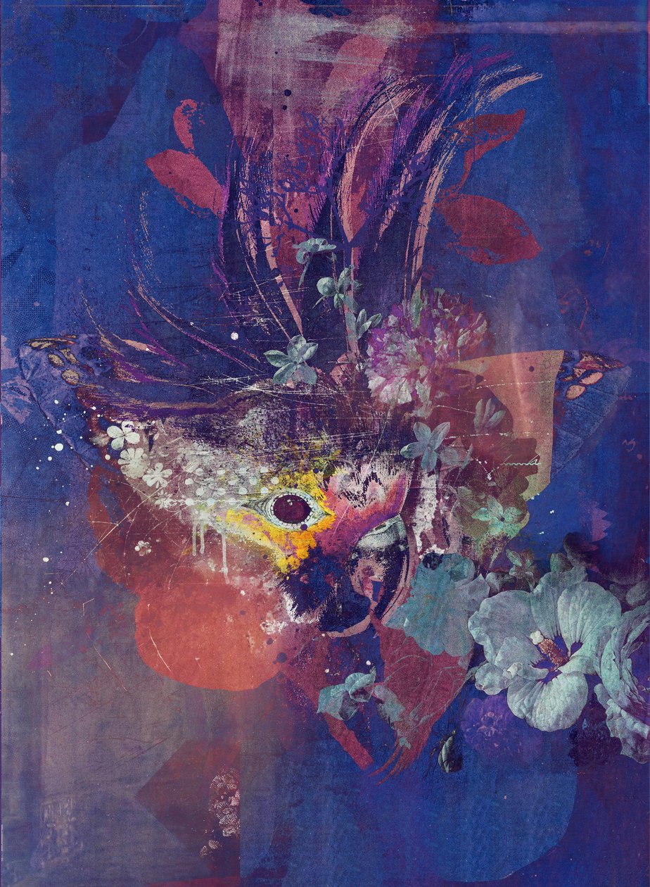 Tavuskuşu, 2016 (Tuval üzerine kolaj) by Teis Albers