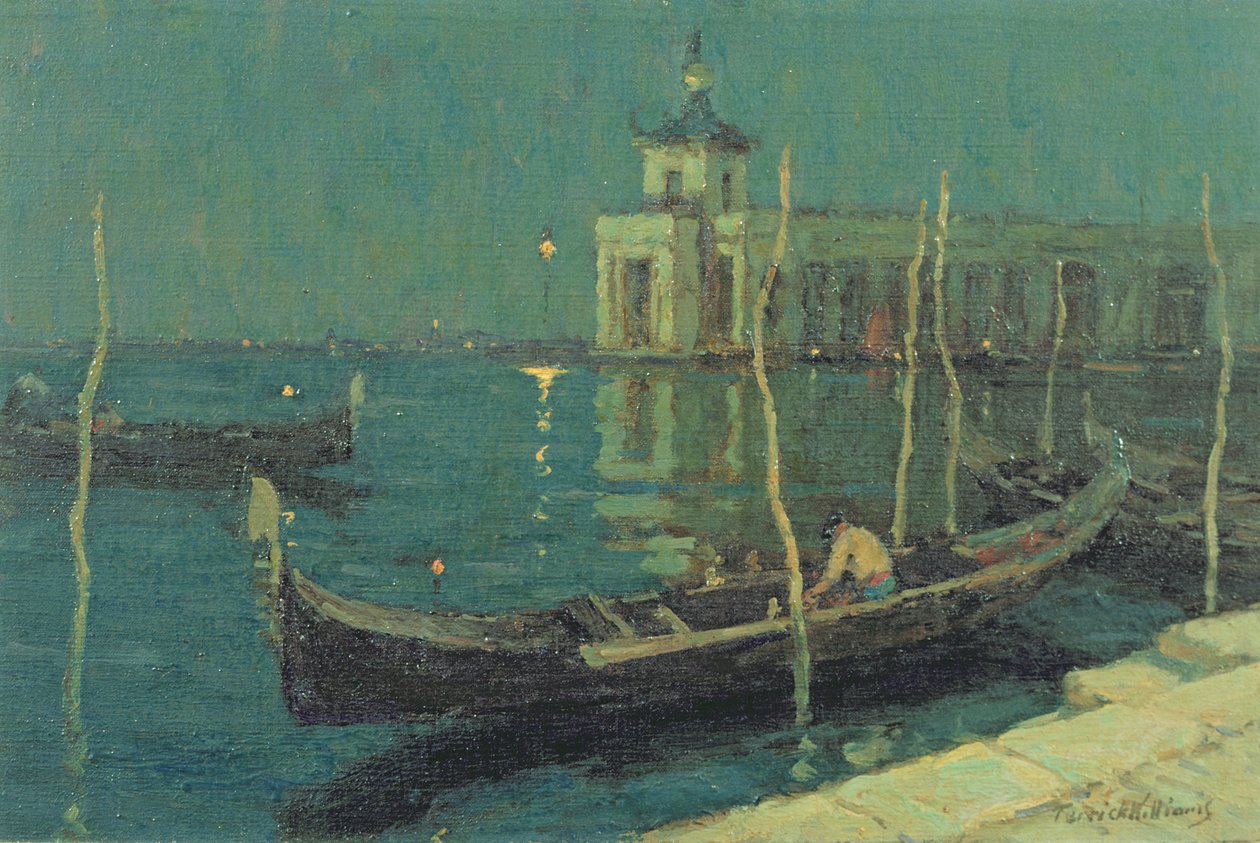 Doğana Gece, Venedik by Terrick Williams