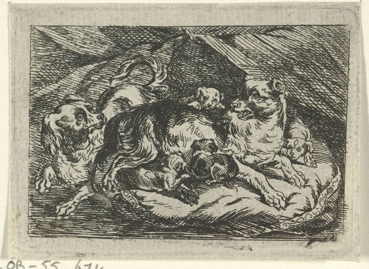 Genç köpeklerle çöp by Tethart Philip Christian Haag