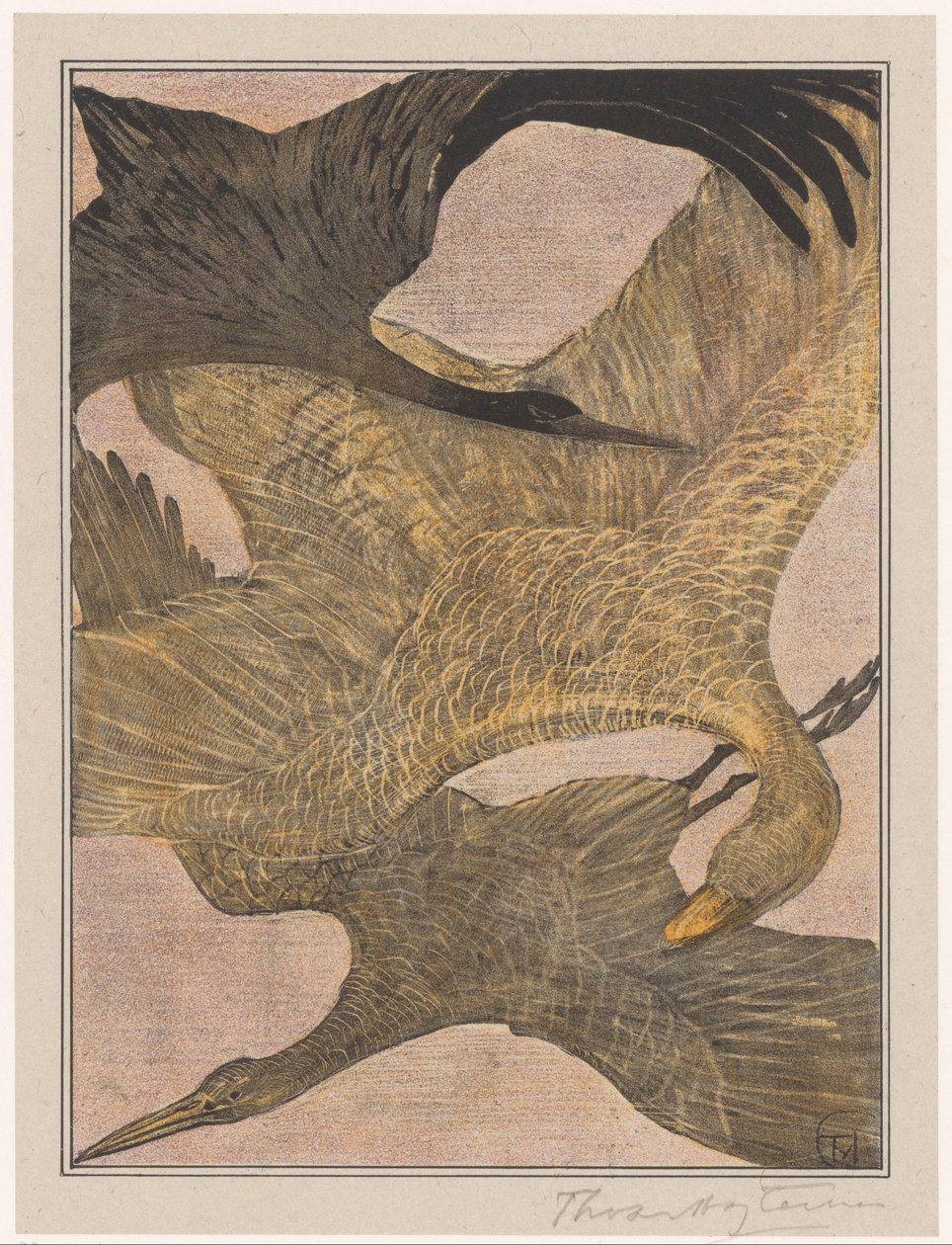 Üç uçan kuş by Theo van Hoytema (signed by artist)