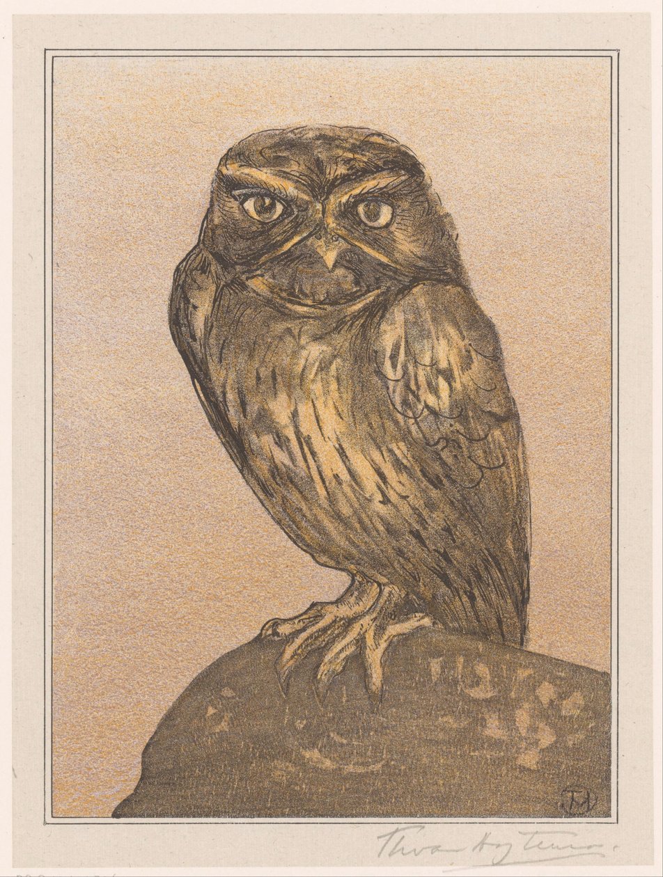 Kayanın üzerinde küçük baykuş by Theo van Hoytema (signed by artist)