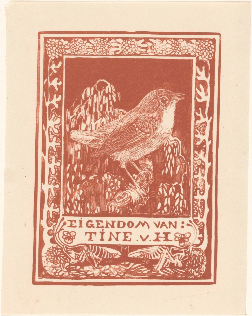 Tine van Hoytema