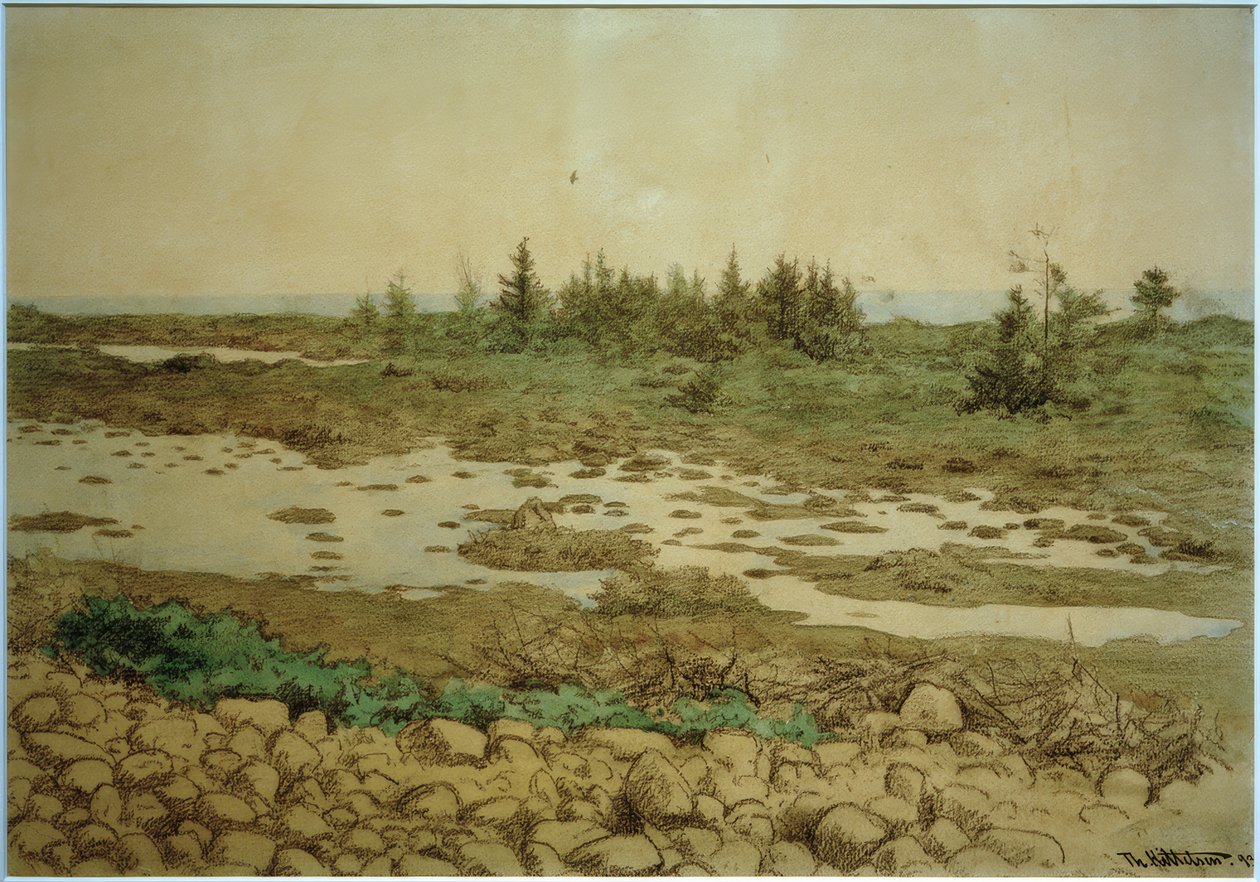 Yuvarlanan taşlar, su ve çalılar by Theodor Kittelsen