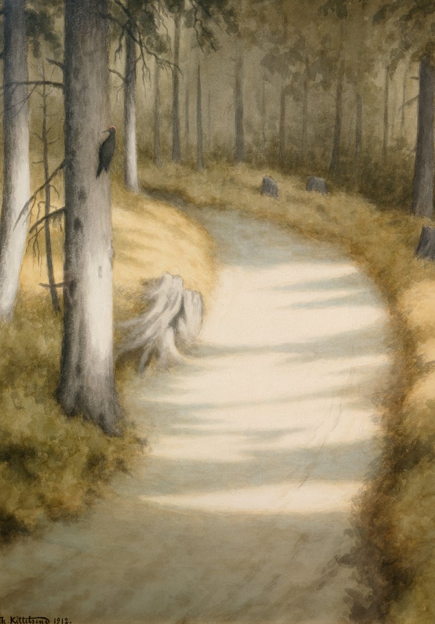 Ağaçkakan by Theodor Kittelsen