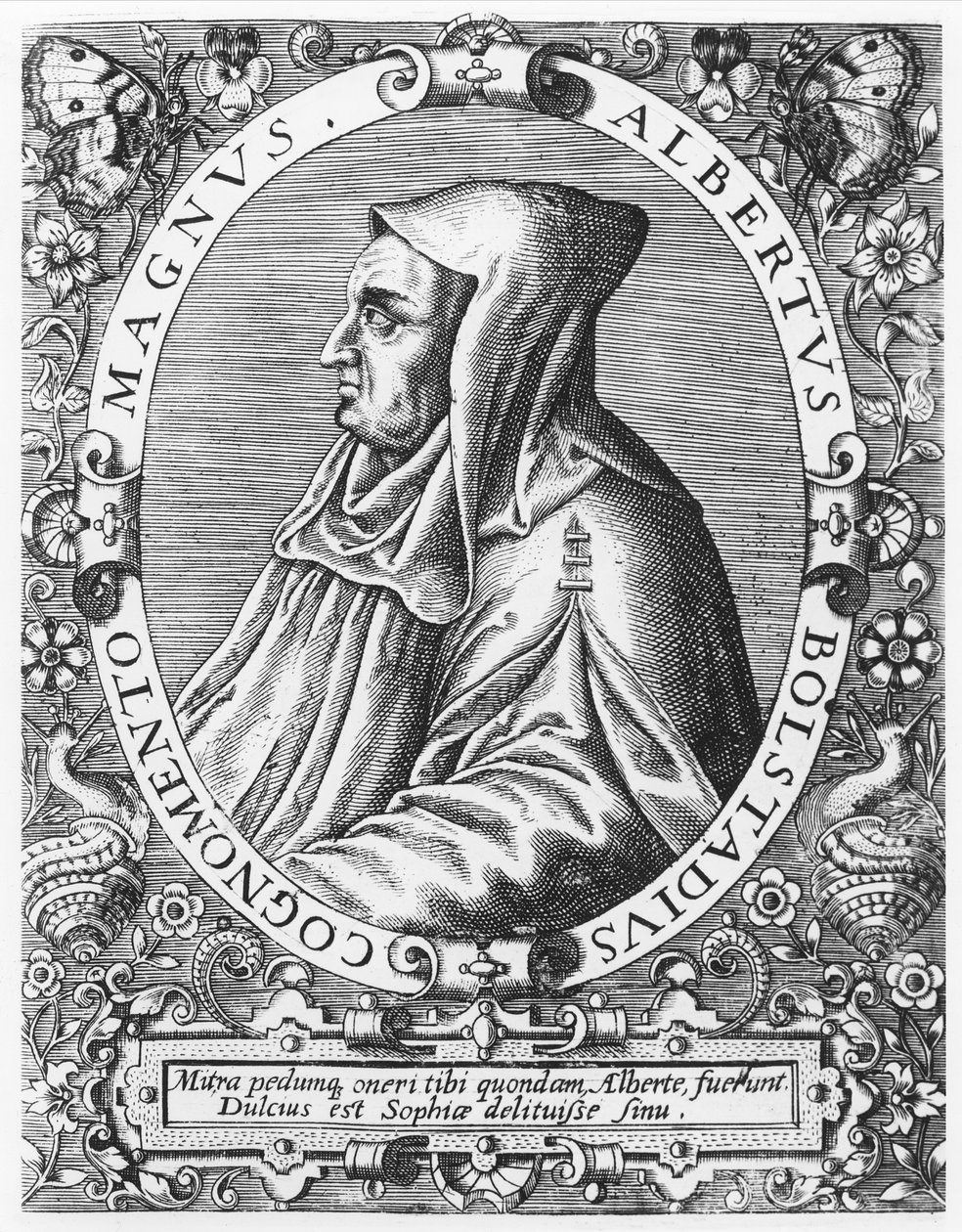 Albertus Magnus  by Theodore de Bry