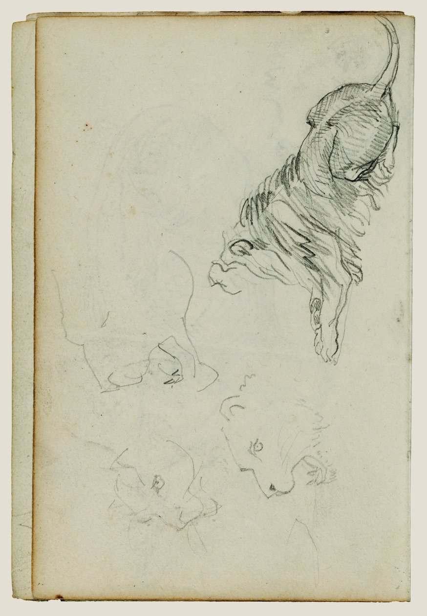  by Theodore Gericault