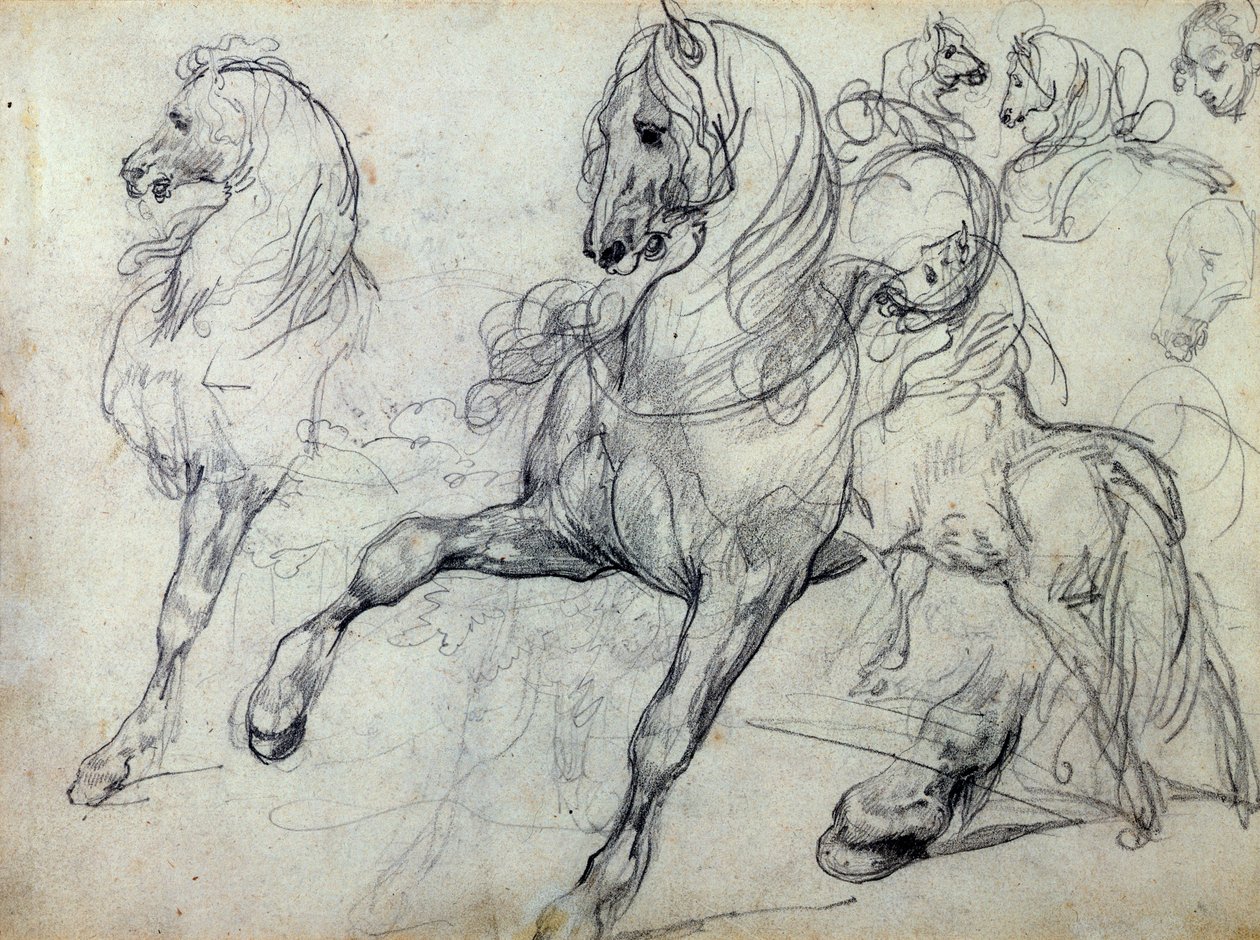 Atlar by Theodore Gericault