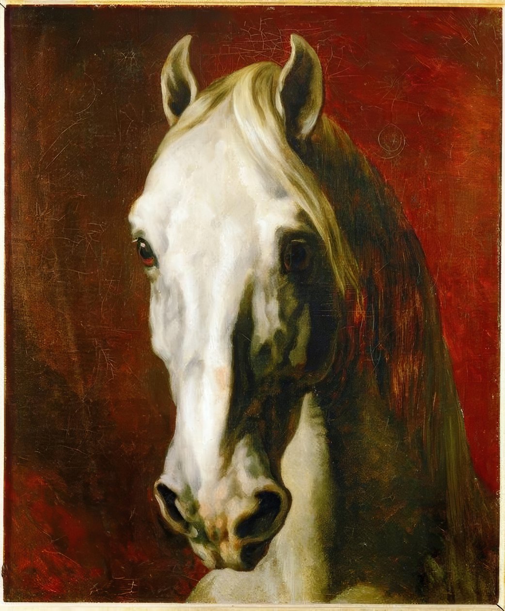 Beyaz bir atın başı by Theodore Gericault