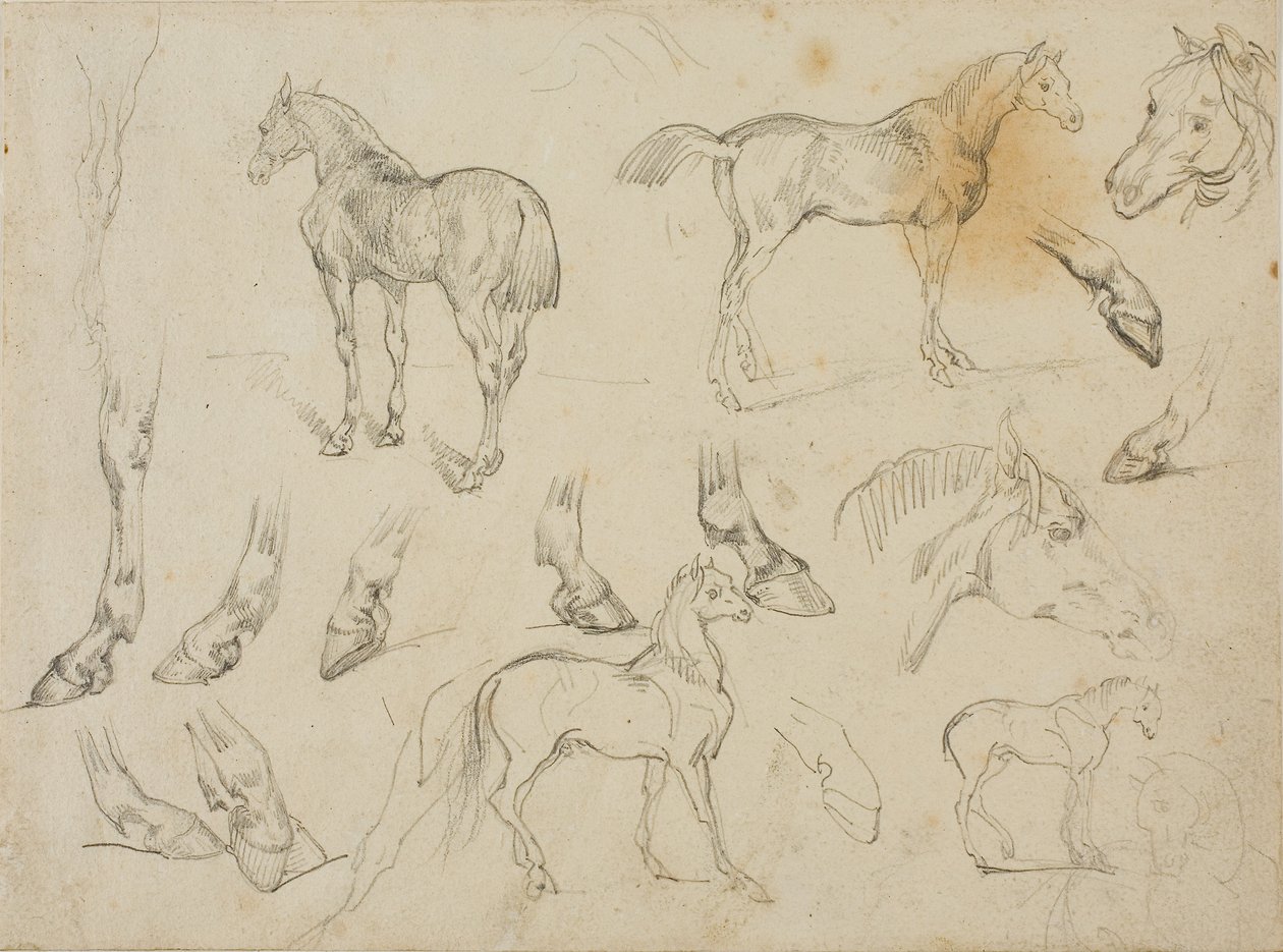  by Theodore Gericault