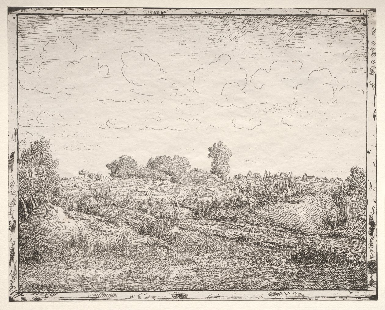 Biau'daki Bitki Ovası by Theodore Rousseau