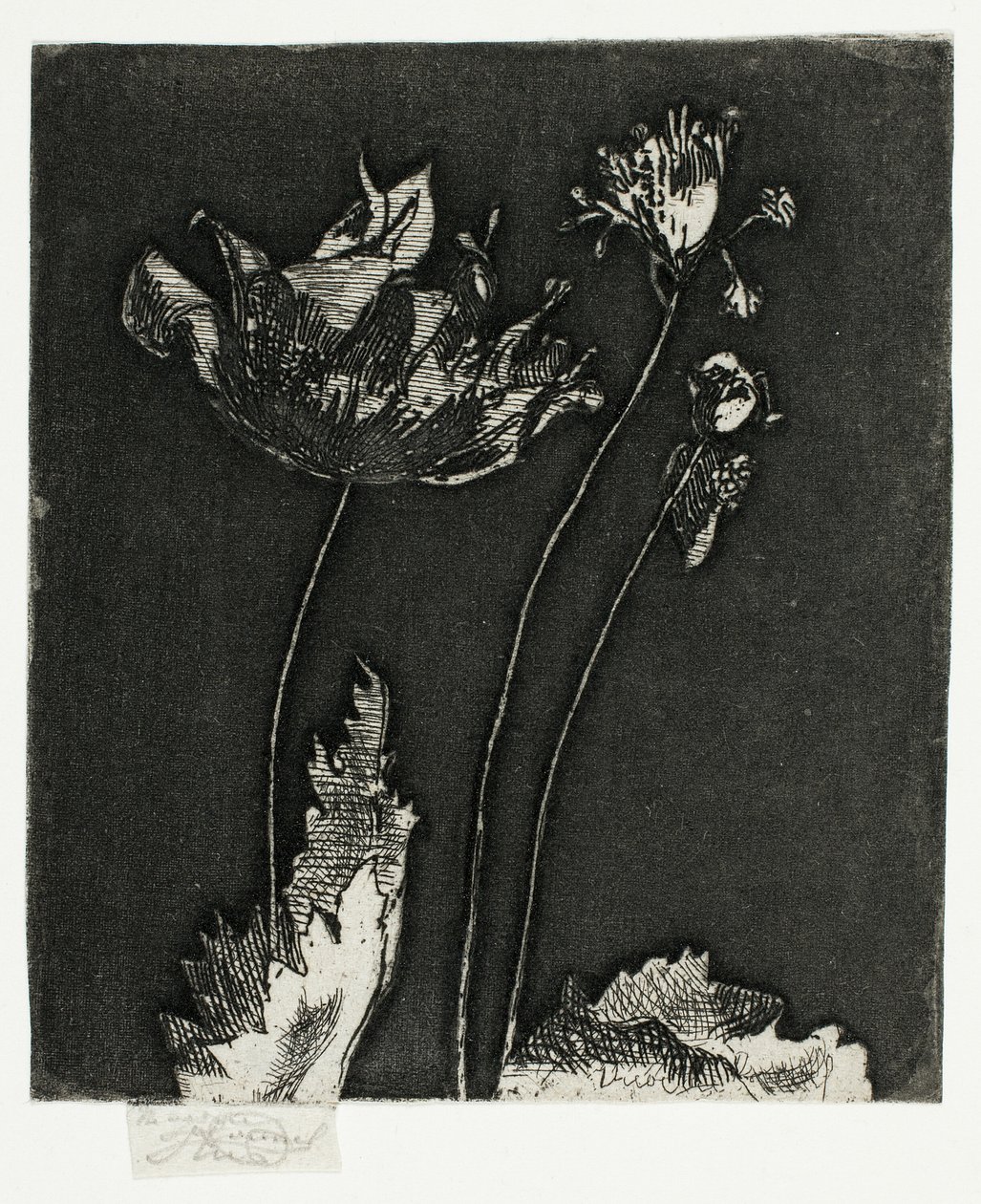 son haşhaş by Theodore Roussel