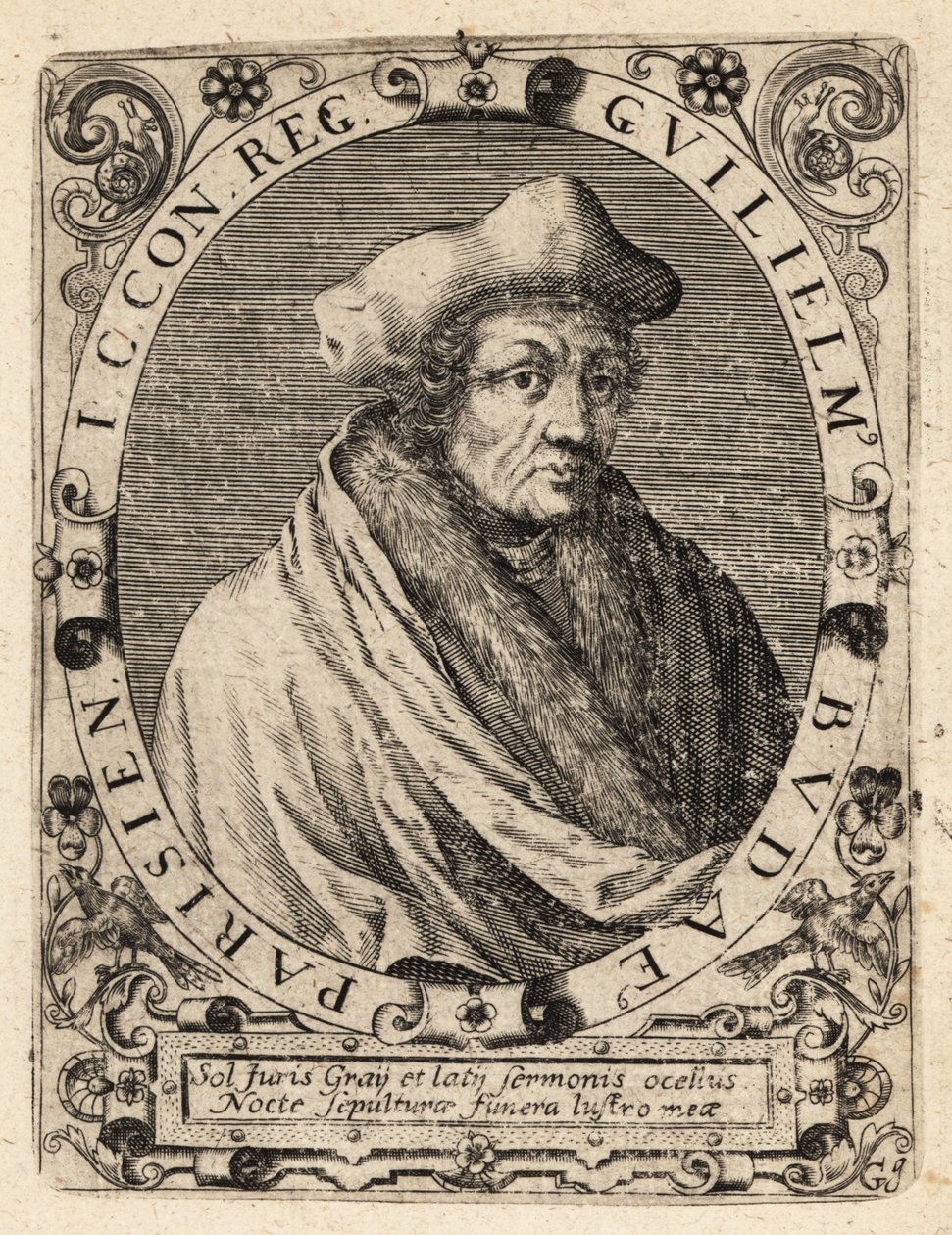 Guillaume Bude by Theodore de Bry
