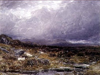 Siabod Flats, Kuzey Galler by Thomas Collier